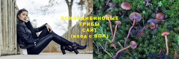 тгк Балахна