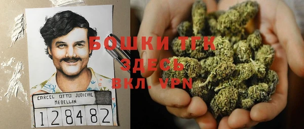 тгк Балахна