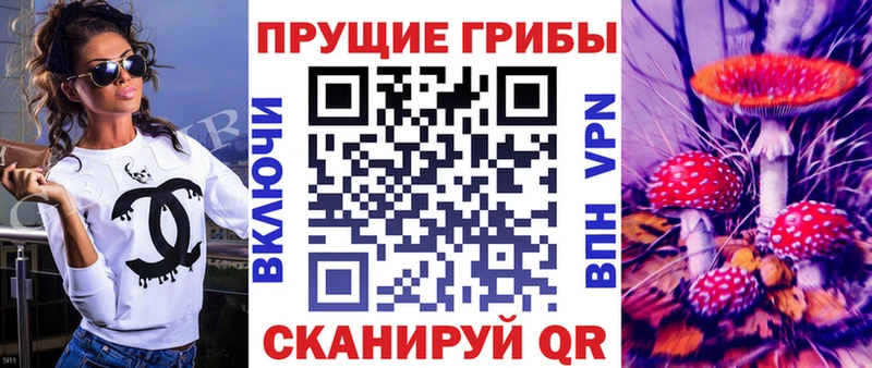 Псилоцибиновые грибы Psilocybe  даркнет сайт  blacksprut ONION  Петровск-Забайкальский 