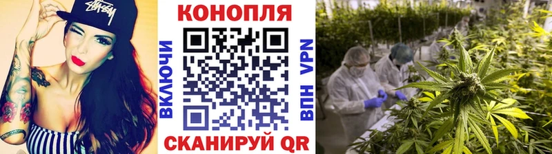 Каннабис ГИДРОПОН  Петровск-Забайкальский 